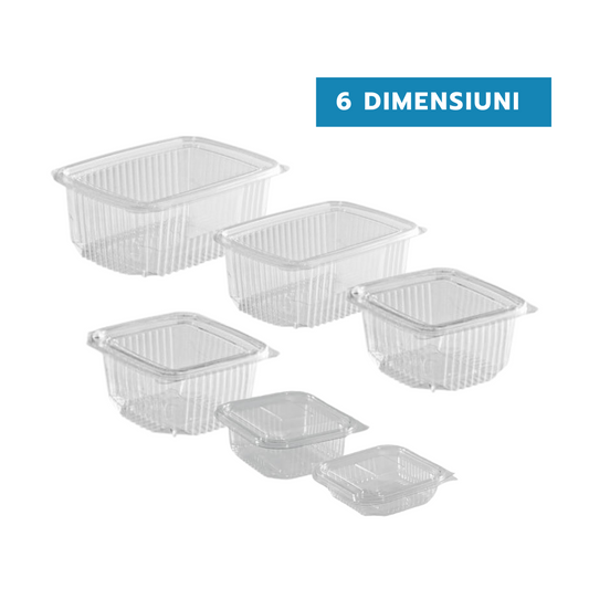 Caserole transparente cu capac atasat PET, DIVERSE MARIMI, 100 buc/set B