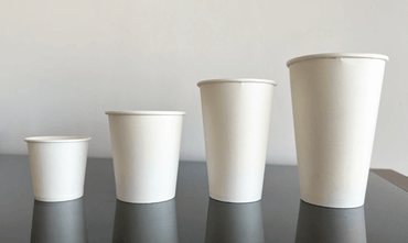 Pahare din carton albe pentru bauturi calde 16 oz